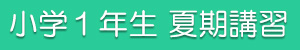 小1夏期講習