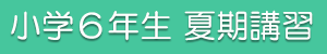 小6夏期講習