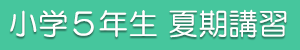 小5夏期講習