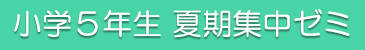 小5夏期ゼミ