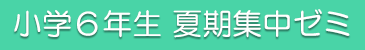 小6夏期ゼミ