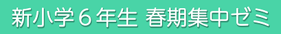6年生