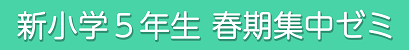 5年生